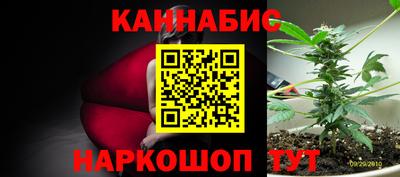 PSILOCYBIN Бугуруслан